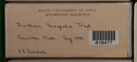 Image Associated With the Occurence